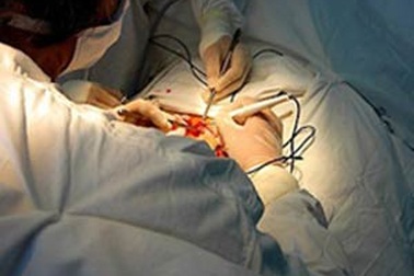 Chuyện tái tạo... “của quý” 