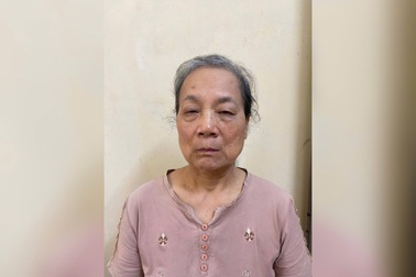 Khởi tố người phụ nữ livestream chửi bới tại tòa án ở Tuyên Quang