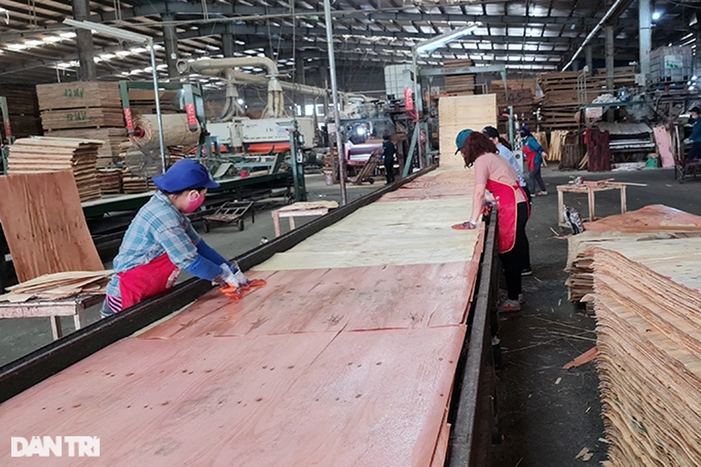81 doanh nghiệp, tổ chức được miễn 24 tỷ đồng tiền chậm nộp thuế - 1 81 doanh nghiệp, tổ chức được miễn 24 tỷ đồng tiền chậm nộp thuế - 1