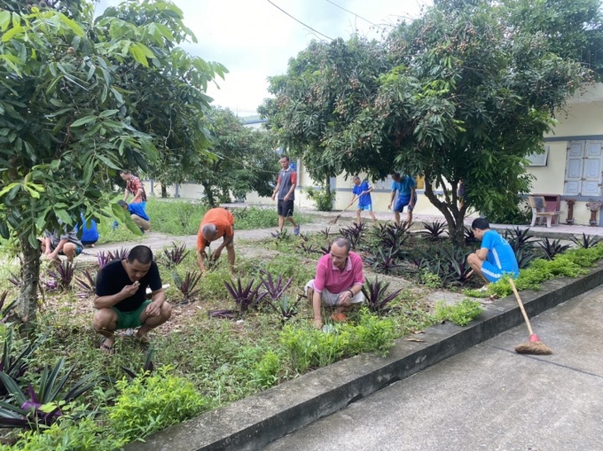 Lao động trị liệu, tăng gia sản xuất, trồng cây, làm vườn, thu hoạch rau quả giúp tăng cường sức khỏe cho người bệnh