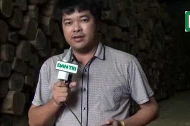 Video: Doanh nghiệp khốn đốn vướng thủ tục, gỗ không tiêu thụ được.