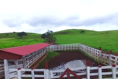 Khám phá khu bảo tồn Guanacaste