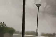 Hàng chục cây xanh bật gốc, đổ ngổn ngang trong dông lốc ở TPHCM