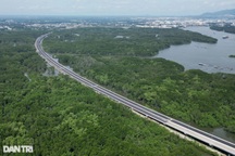 Cao tốc Bến Lức - Long Thành xuyên rừng ngập mặn xanh ngát ở Đồng Nai