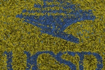 Vi khuẩn cũng có khả năng ghi nhớ