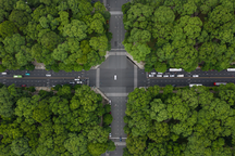 Những con đường rợp bóng cây xanh, xua tan cái nóng ở TPHCM