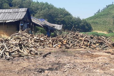 Nhiều lò than “thổ phỉ” không phép ngang nhiên hoạt động tại Nghệ An!