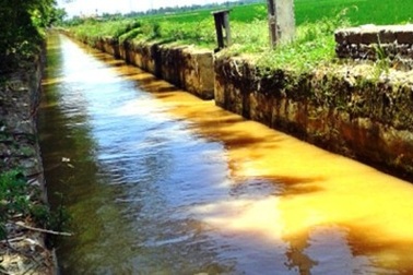 Rơi xuống mương nước, cụ bà 82 tuổi chết đuối