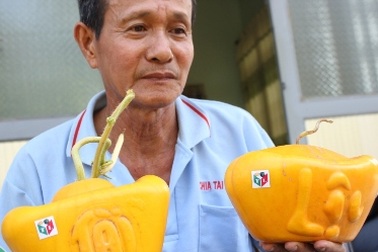 Trồng dưa hấu thỏi vàng thu tiền tỷ dịp Tết