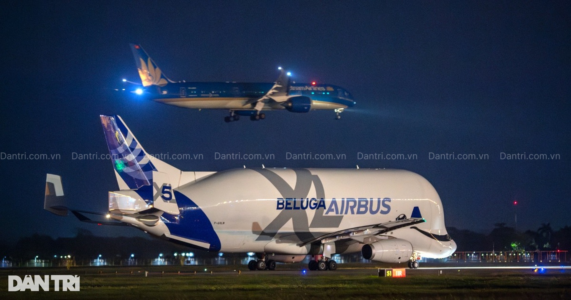 Siêu máy bay vận tải Airbus Beluga XL cá voi trắng lần đầu đến Việt Nam - 9 Siêu máy bay vận tải Airbus Beluga XL cá voi trắng lần đầu đến Việt Nam - 9