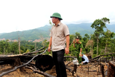 Phó Chủ tịch tỉnh viết tâm thư về những cây rừng “nhựa ứa như rỉ máu”