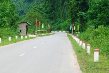 Chưa thể khởi tố vụ gỗ sưa trăm tỉ vì chậm báo cáo thiệt hại