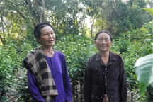 Hai gia đình hàng chục năm "cưu mang" chim trời