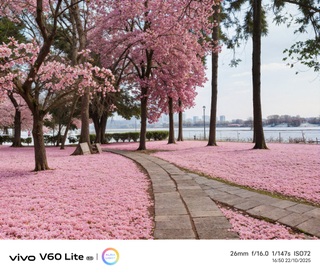 Đánh giá vivo V60 Lite 5G: Hiệu suất tốt, pin khỏe, camera còn hạn chế - 19 Đánh giá vivo V60 Lite 5G: Hiệu suất tốt, pin khỏe, camera còn hạn chế - 19