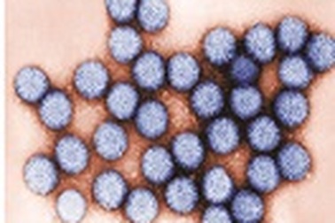 Tiêu chảy cấp do vi rút Rota: Phụ huynh cần lưu ý