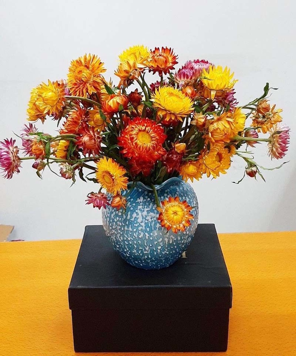 Hoa cúc lạ chết khô vẫn không tàn: Hàng Trung Quốc chơi Tết Tân Sửu - 2 Hoa cúc lạ chết khô vẫn không tàn: Hàng Trung Quốc chơi Tết Tân Sửu - 2