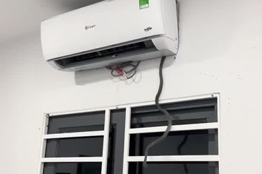 Khoảnh khắc rắn thò đầu chui ra khỏi điều hòa và rơi xuống nhà
