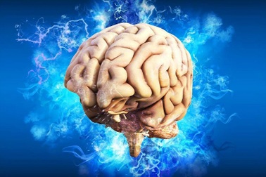 Tìm thấy "tế bào thời gian" trong não người