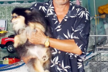 Trở thành chủ trại lớn nhất miền Tây từ niềm đam mê chó Phốc Sóc