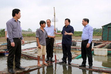 Xử nghiêm tổ chức, cá nhân nếu hiện tượng cá chết do con người gây ra