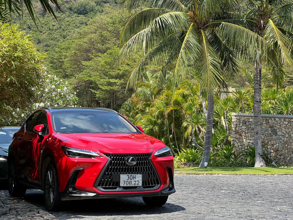 Cùng Lexus lên rừng, xuống biển - Hành trình của sự êm ái, hứng khởi - 5 Cùng Lexus lên rừng, xuống biển - Hành trình của sự êm ái, hứng khởi - 5