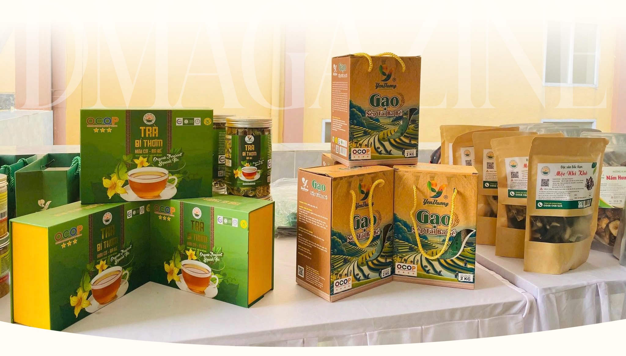 Hợp tác xã - mở lối thoát nghèo cho phụ nữ dân tộc thiểu số - 17