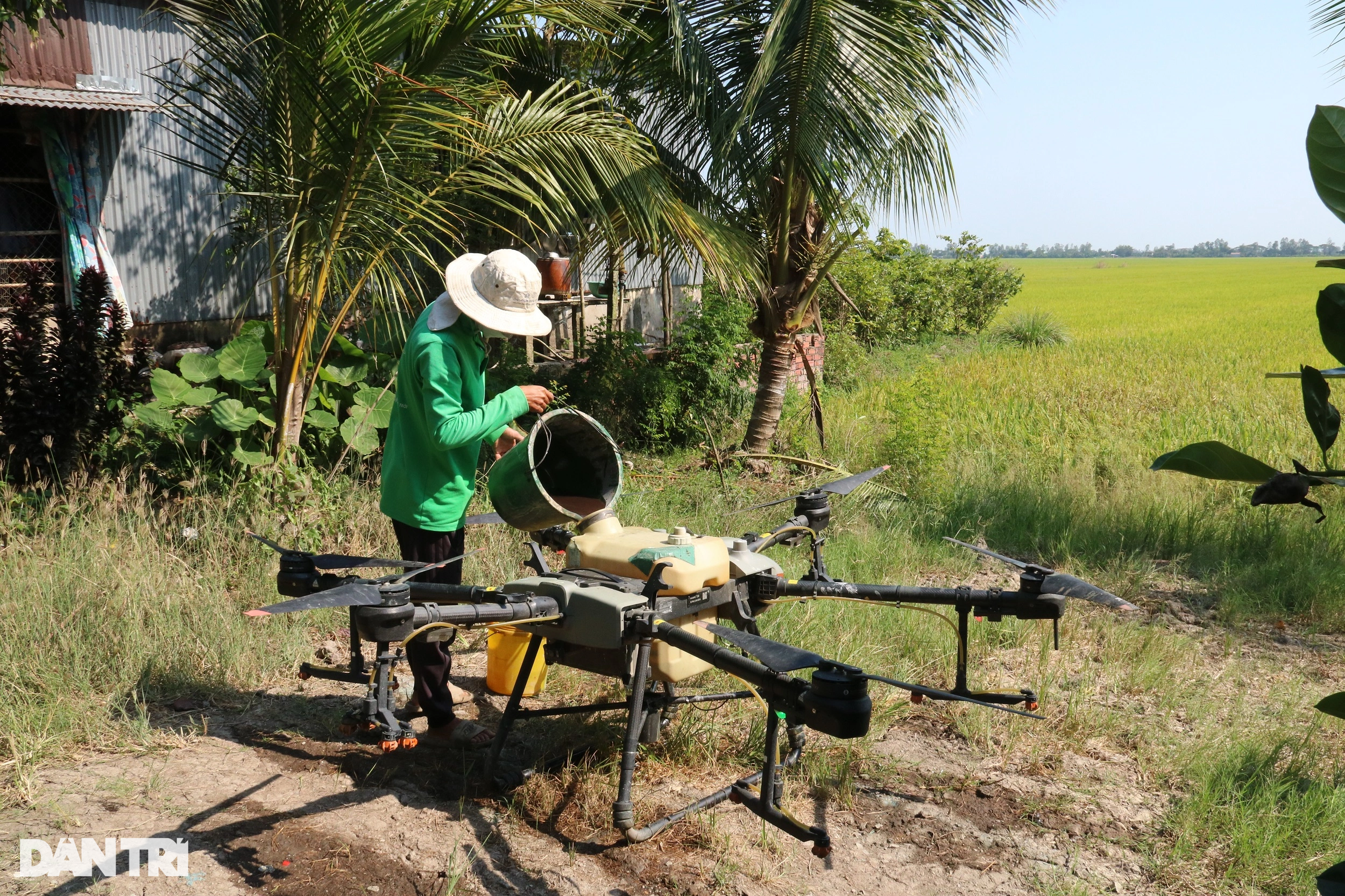 Bán gạo giá cao cho Mỹ, châu Âu, nông dân làm chủ những cánh đồng triệu đô - 4 Bán gạo giá cao cho Mỹ, châu Âu, nông dân làm chủ những cánh đồng triệu đô - 4
