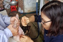 Cô giáo Tấm tận tụy truyền kỹ năng nghề chăn nuôi, thú y cho sinh viên