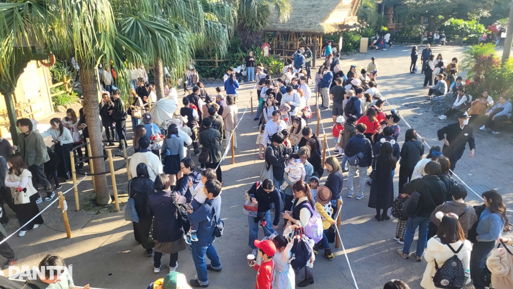 Lạc vào Tokyo Disneyland mùa lễ hội, du khách Việt say mê trải nghiệm - 1 Lạc vào Tokyo Disneyland mùa lễ hội, du khách Việt say mê trải nghiệm - 1