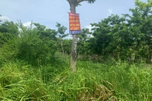 Thu hồi 4 dự án khu đô thị ở Mê Linh, một bên xin dừng vì tranh chấp nội bộ