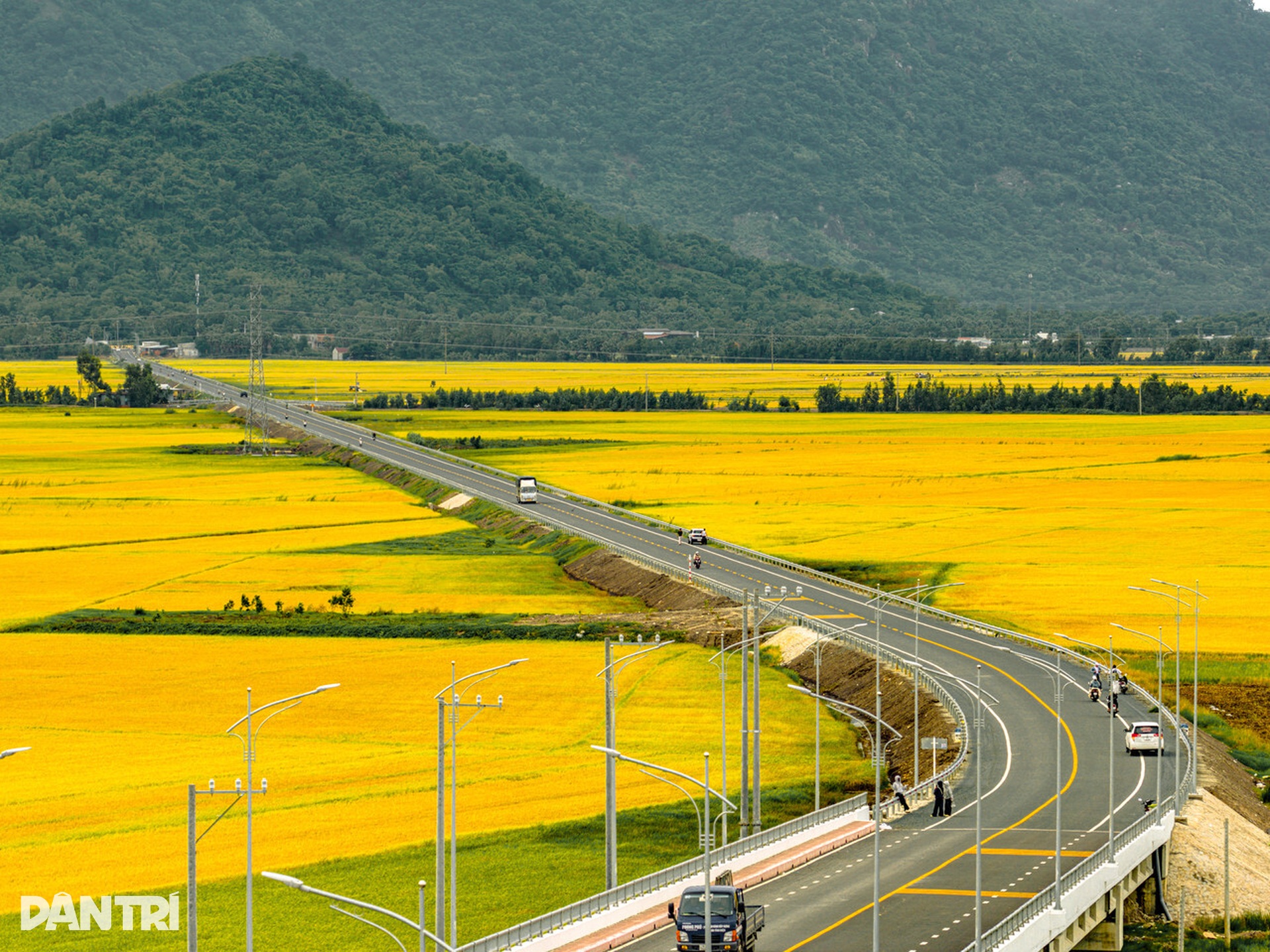 Đoạn đường hơn 4km ở miền Tây gây sốt mạng xã hội nhờ thiết kế ấn tượng - 5