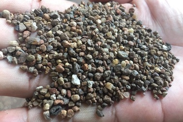 Vụ phát hiện “cà phê bẩn” lớn tại Đắk Nông: Chủ cơ sở không chịu khai báo!