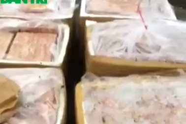 Phát hiện gần 1 tấn tai, nội tạng lợn không có giấy tờ hợp lệ