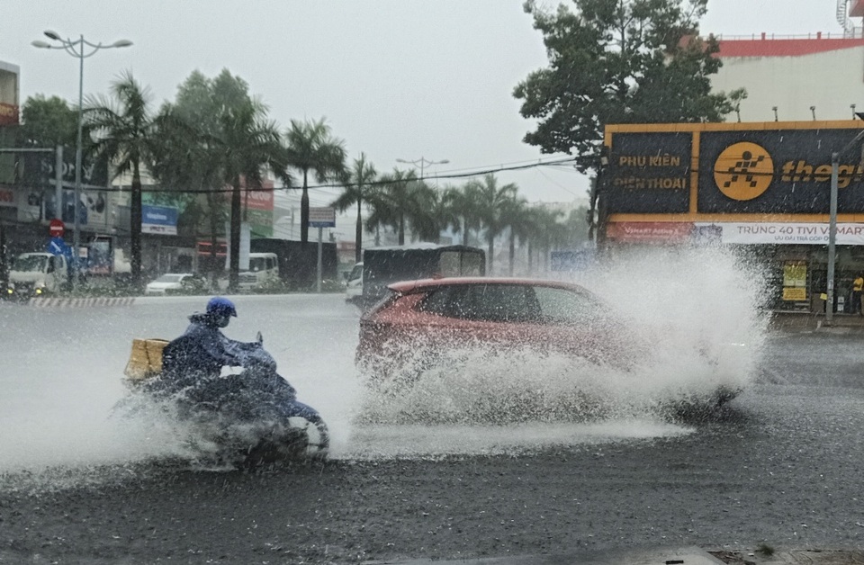 “Mưa vàng” giải nhiệt khắp Miền Tây sau bao ngày nắng hạn - 7 “Mưa vàng” giải nhiệt khắp Miền Tây sau bao ngày nắng hạn - 7