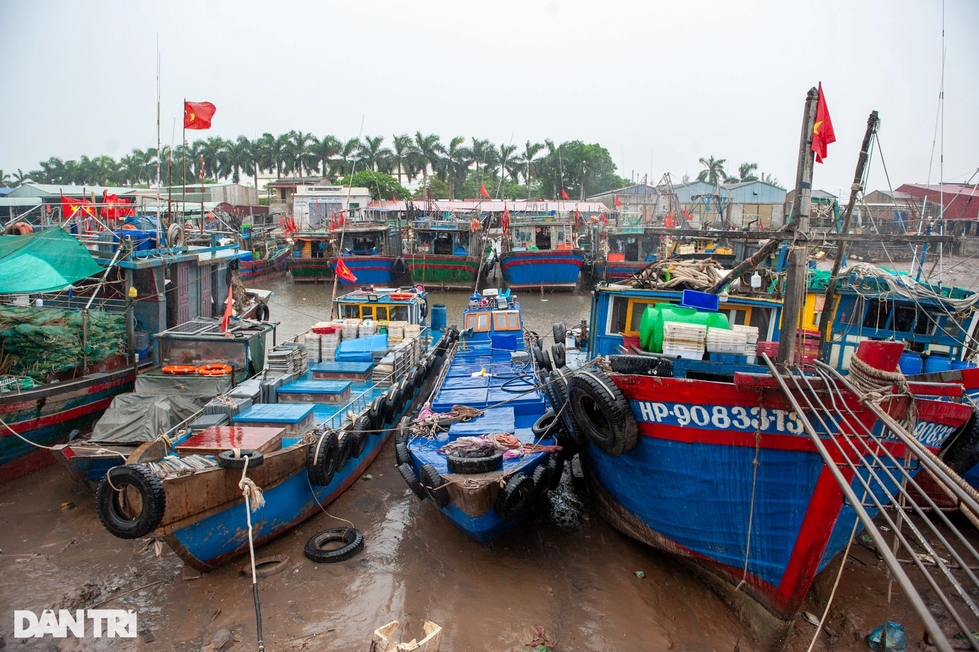 Cảng cá Hải Phòng chằng giữ tàu thuyền, nín thở chờ bão Talim đi qua - 5 Cảng cá Hải Phòng chằng giữ tàu thuyền, nín thở chờ bão Talim đi qua - 5