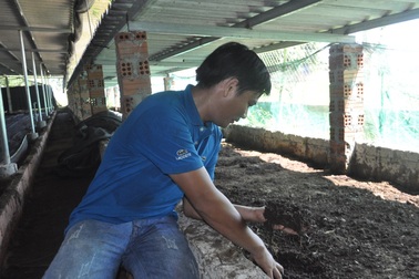 Vượt khó vươn lên từ mô hình nuôi trùn quế khép kín