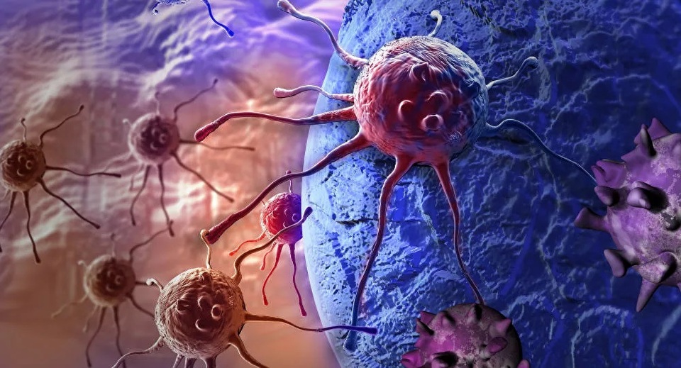 Phát hiện được các khối u ung thư có khả năng tự bảo vệ mạnh mẽ chống virus - 1 Phát hiện được các khối u ung thư có khả năng tự bảo vệ mạnh mẽ chống virus - 1