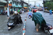 TPHCM như cây mai trong chậu, rễ không đâm đi đâu được