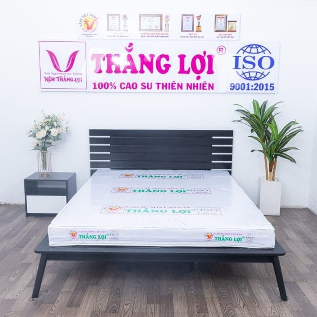 Ưu và nhược điểm của nệm cao su non Thắng Lợi - 3 Ưu và nhược điểm của nệm cao su non Thắng Lợi - 3