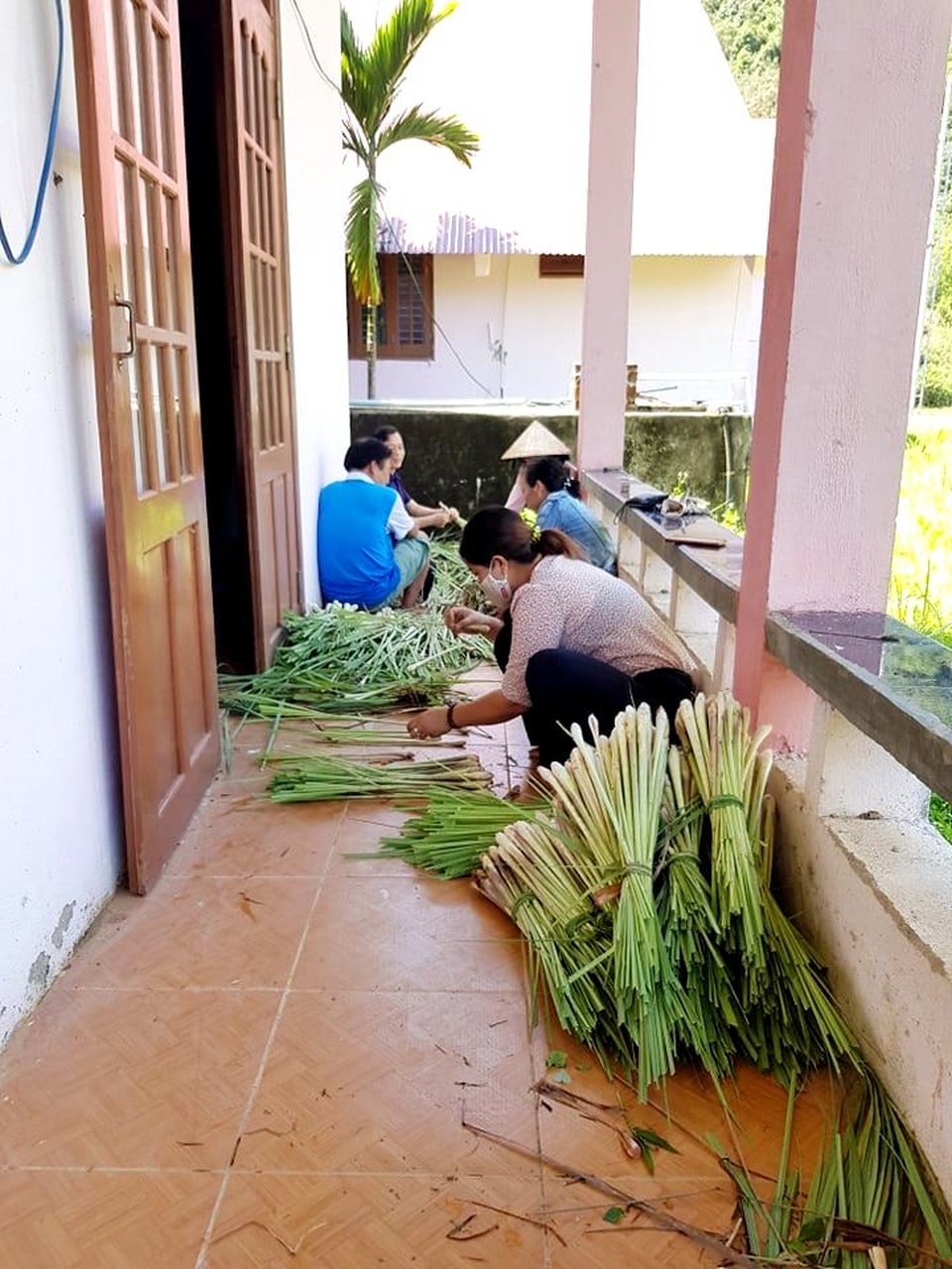 Đồng bào vùng cao góp rau củ quả, hướng về đồng bằng cùng chống dịch - 4 Đồng bào vùng cao góp rau củ quả, hướng về đồng bằng cùng chống dịch - 4