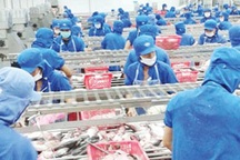 Mức đóng BHXH ở Việt Nam là cao hay thấp?