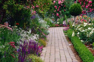 Mảnh vườn tí hon