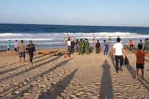 Tìm thấy thi thể 3 giáo viên về hưu bị sóng biển cuốn mất tích