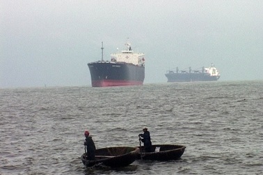 Sẽ xử lý nặng người bắt tôm hùm tại cảng Chân Mây