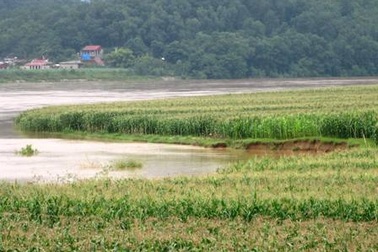 Đê sông Mã sạt lở nghiêm trọng sau bão số 5   