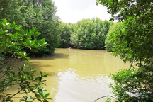 Vụ "sai phạm tại VQG Mũi Cà Mau": Chuyển công an điều tra thanh toán khống, lập quỹ "đen"