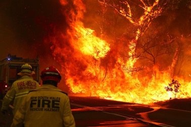 Australia đón trận mưa “vàng” giữa thảm kịch cháy rừng