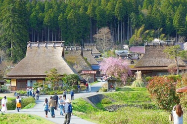 Khám phá cuộc sống nông thôn Nhật Bản trên truyền hình Việt Nam