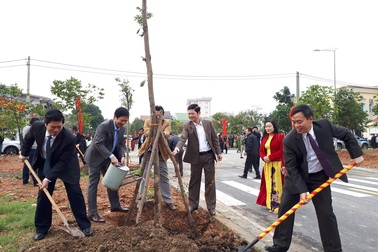 Trồng nhiều cây xanh dịp “Tết trồng cây” đầu Xuân Canh Tý