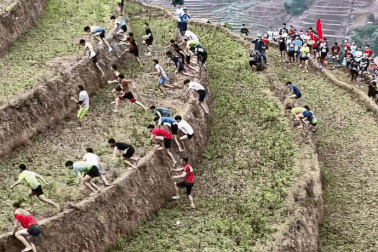 Cảnh hàng trăm du khách leo thửa ruộng bậc thang tại Mù Cang Chải gây sốt